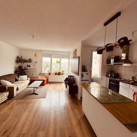 Bel Appartement Proche Mulhouse Pfastatt Экстерьер фото