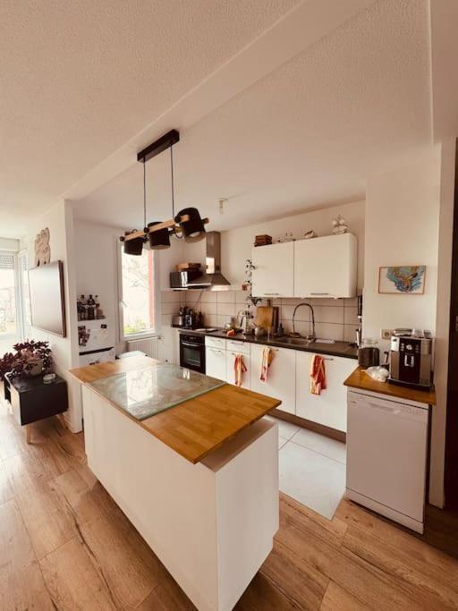 Bel Appartement Proche Mulhouse Pfastatt Экстерьер фото