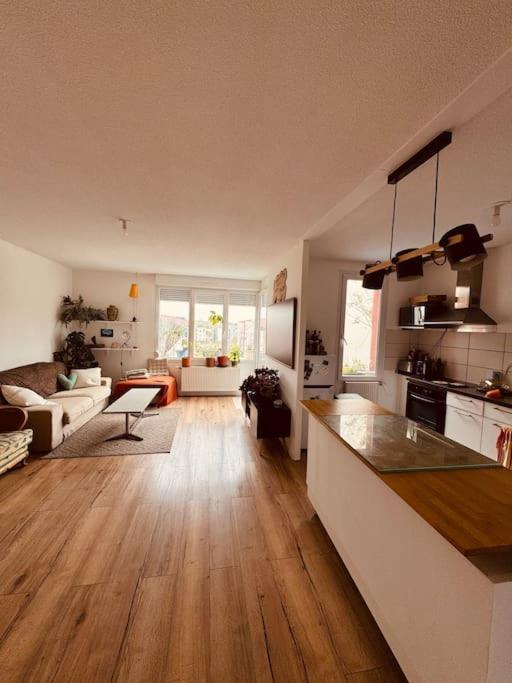 Bel Appartement Proche Mulhouse Pfastatt Экстерьер фото